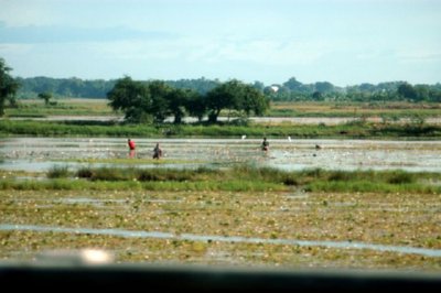 AGUA (6)  PLACAS SOLARES